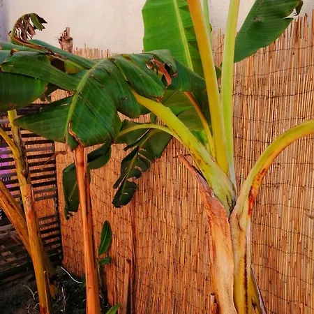 Captain's Log House Hostel Baleal