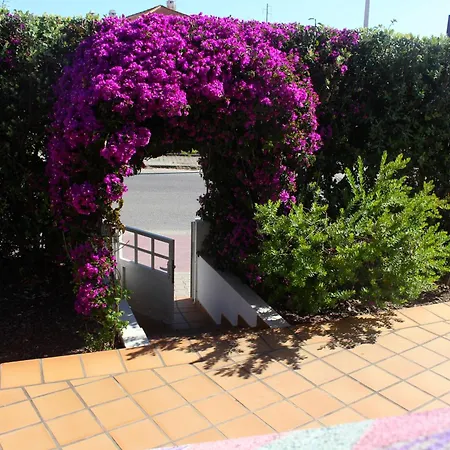 Ostello Captain's Log House Baleal