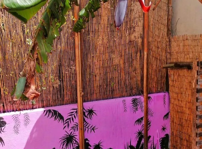 ホステル Captain's Log House バレアル