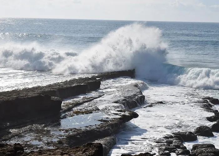 Captain's Log House *