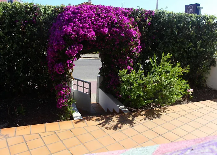 ホステル Captain's Log House バレアル