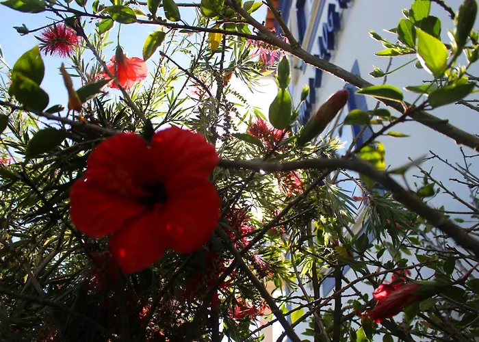 Captain's Log House ホステル